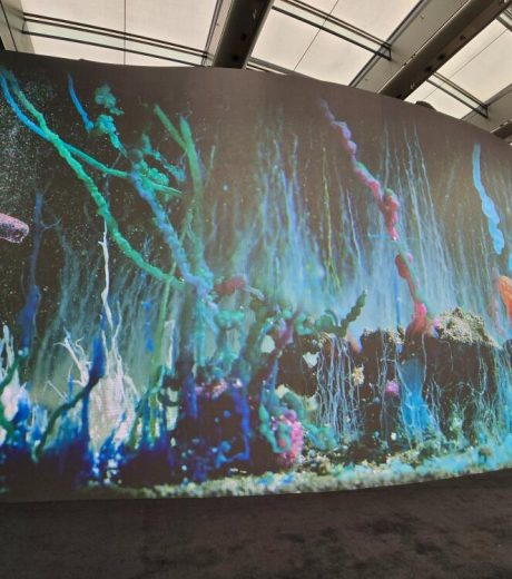 V8uVFLafUibctZmpX62z2Rg6tY3s5ro0aDefczBp